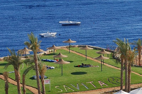 Siva Sharm (2)