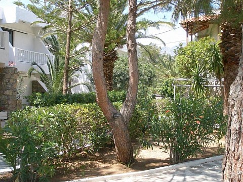 Avra Palm Hotel (4)