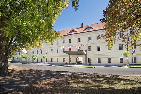 HOTEL TEREZIÁNSKÝ DVŮR - Rekreační pobyt - Hradec Králové