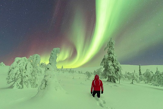 Laponsko - království ledu a polární záře