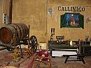 Zakynthos – z výletu po ostrove – vinárstvo Callinico