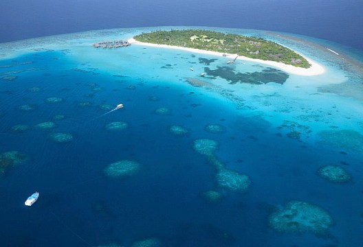 Coco Palm Dhunikolhu Maldives (2)