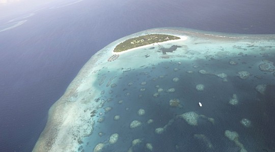 Coco Palm Dhunikolhu Maldives (3)