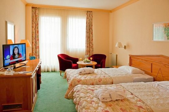 BUTTERFLY ENSANA HEALTH SPA HOTEL - Rekreační pobyt - Mariánské Lázně (3)