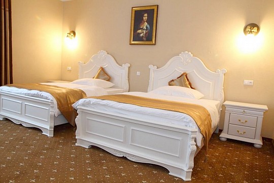 HOTEL APHRODITE PALACE - Relaxační pobyt Classic (ne-pá) - Rajecké Teplice (5)