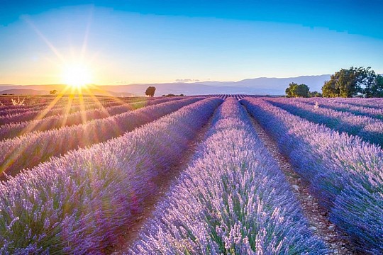 Nejkrásnější místa Provence