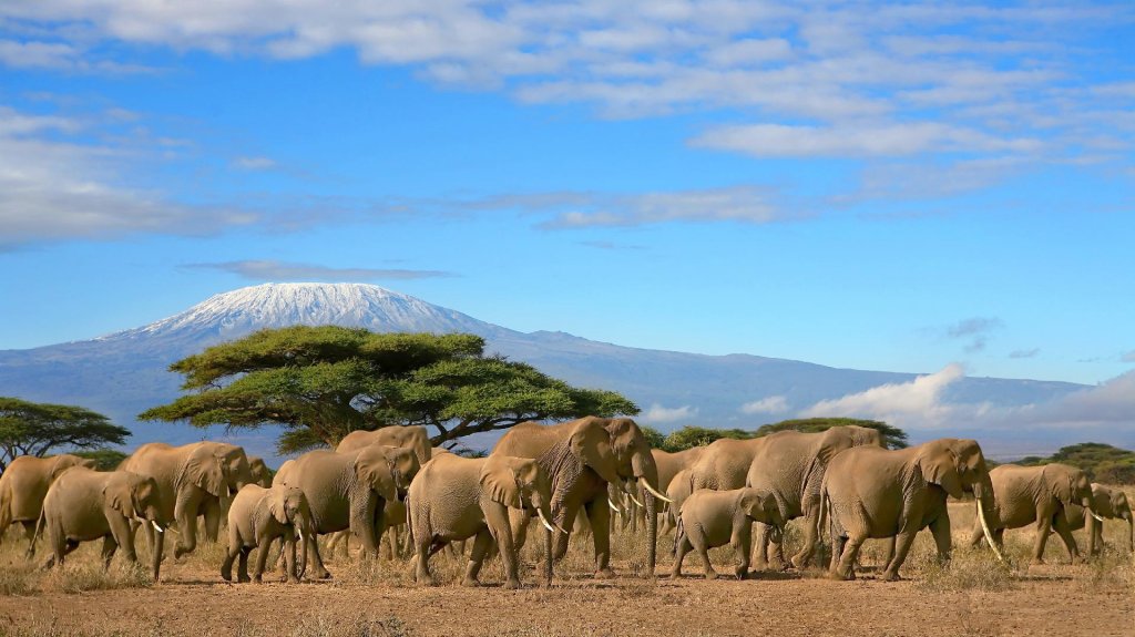 Keňa - Tanzánia - To najlepšie z východnej Afriky