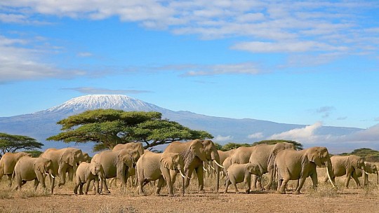 Keňa - Tanzánia - To najlepšie z východnej Afriky