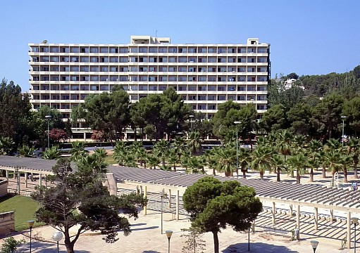 Sol Palmanova Mallorca