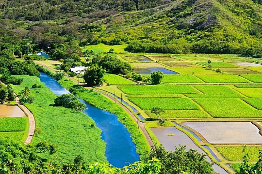 Havajské ostrovy za přírodou, odpočinkem i poznáním (2)