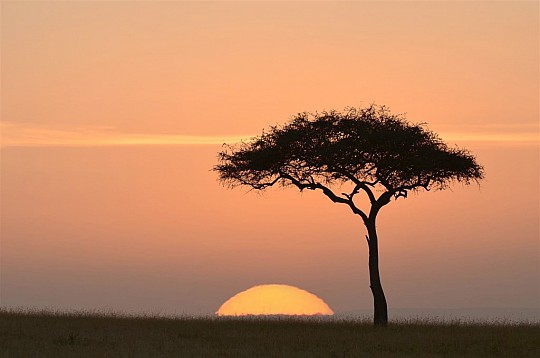 Vzpomínky na Afriku - Masai Mara, jezero Naivasha, Amboseli, Tsavo West a pobyt u moře. Český průvodce. (4)