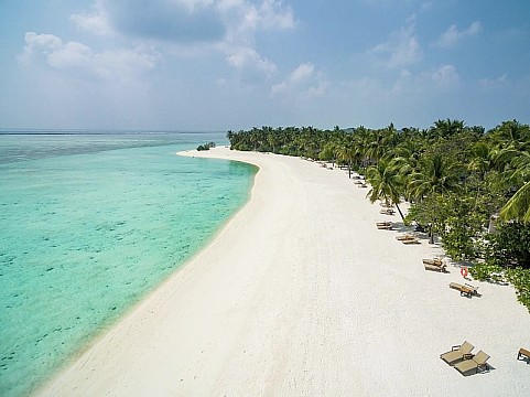Cocoon Maldives (4)
