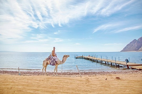 Happy Life Village Dahab (4)