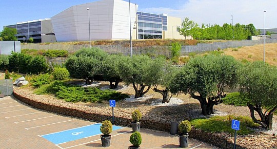 Ciudad de Móstoles (5)