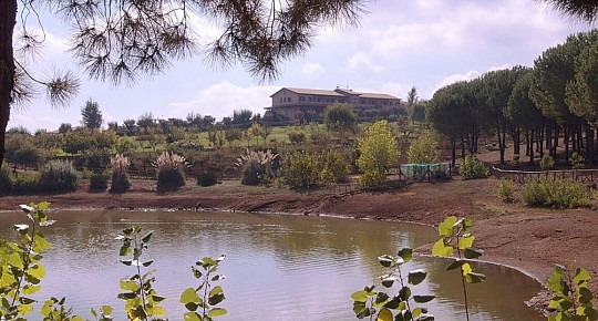 Popilia Country Resort (2)