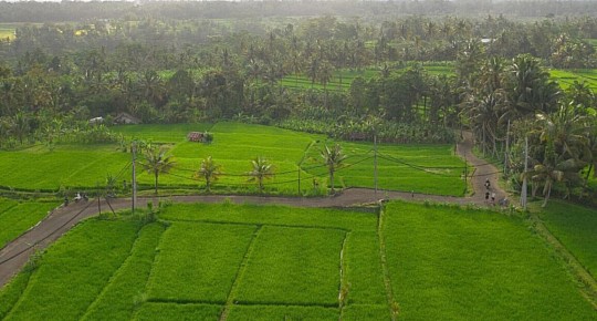 Alila Ubud (5)