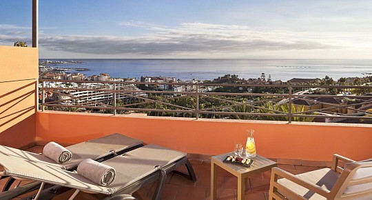 Melia Jardines del Teide (5)