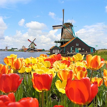 Holandsko - země sýrů, větrných mlýnů a grachtů (2)