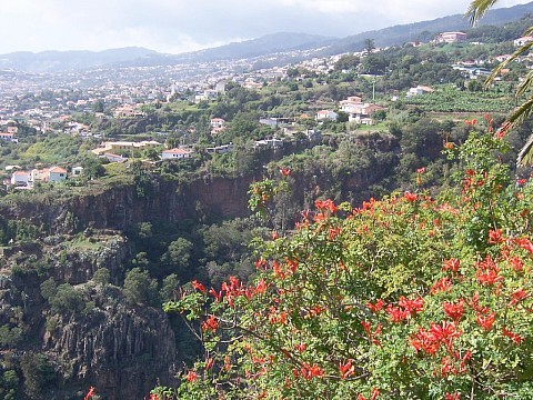 Madeira - exotický ráj na dosah, květinový ostrov věčného jara (3)