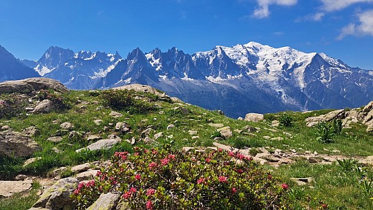 Švýcarské Alpy a Chamonix-Mont Blanc