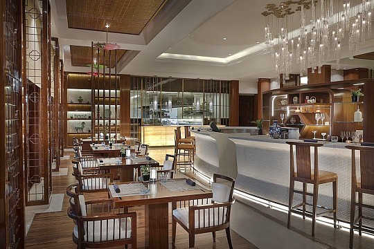 The Ritz Carlton Dubai (2)