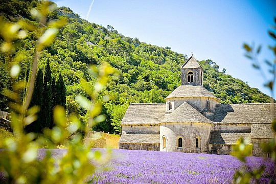 To nejkrásnější z Provence + CANNES (autobusem)