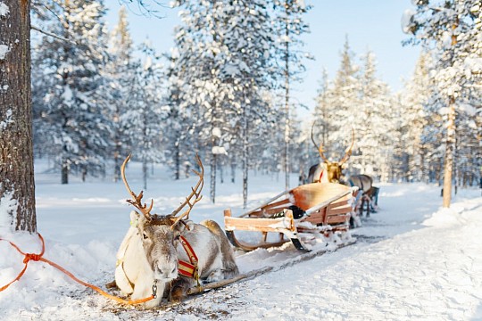 Laponsko pre deti - cesta za Santa Clausom (2)