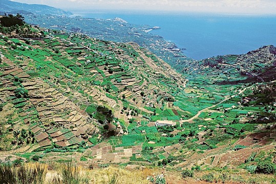 Madeira s hvězdicovými výlety (2)