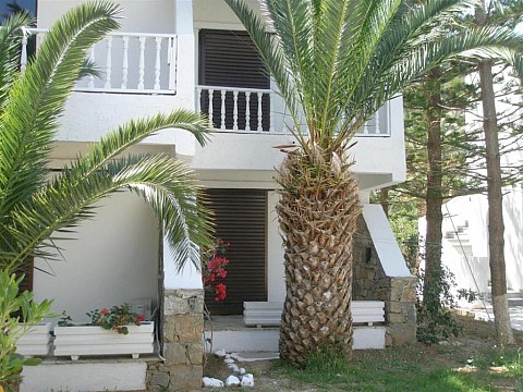 Avra Palm Hotel (5)