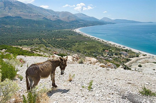 Albánsko a Ohridské jazero let (5)