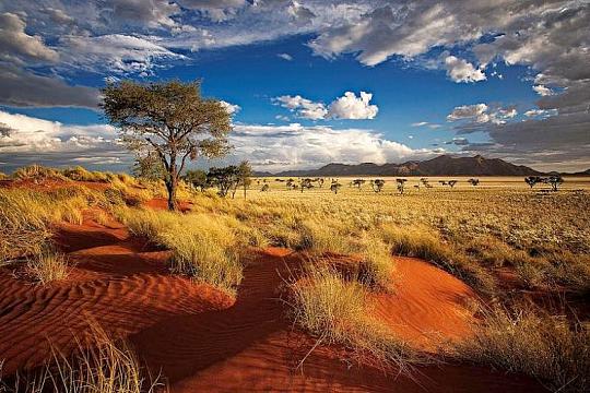 Namibie - velký okruh, self drive