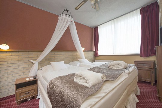 HOTEL THERMA - Relax pobyt - Dunajská Streda (3)
