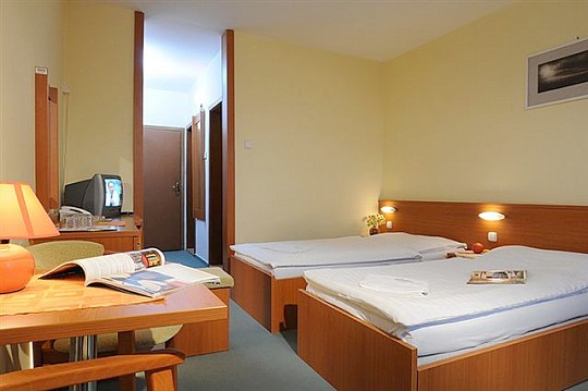 HOTEL HUTNÍK I - Wellness pobyt - Tatranské Matliare (3)
