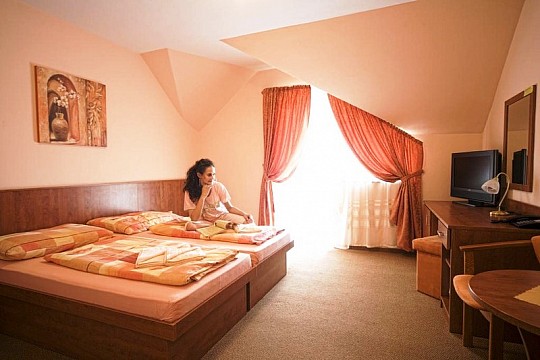 WELLNESS HOTEL ORCHIDEA - Pobyt perfektní relax - Veľký Meder (2)