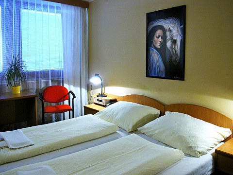 HOTEL PANON - Rekreační pobyt pokoje 3 - Hodonín (3)