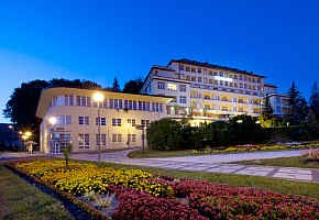 Lázeňský Hotel Palace