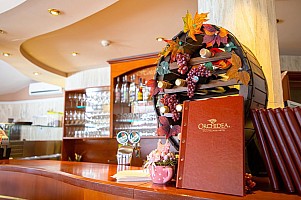 Wellness Hotel & Spa Orchidea
