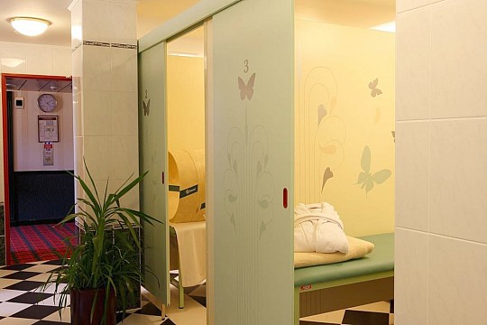 Hotel Ensana Butterfly: Relaxační pobyt 2 noci (5)
