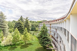 Fagus Hotel Conference & Spa