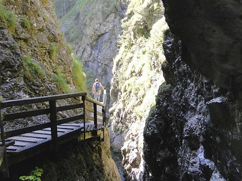 Vodopády Palfau A Dřevěná Vodní Stezka V Údolí Řeky Mendling - Jednodenní Zájezd