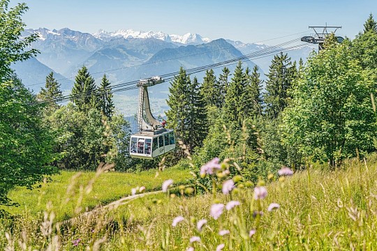 Švýcarsko vlakem i lodí: Luzern, Mount Rigi a Davos (5)