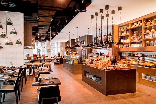 AL MAHA ARJAAN BY ROTANA (5)