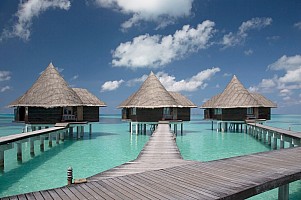 Coco Palm Dhuni Kolhu Maldives Resort