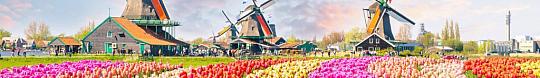 3-dňový zájazd do Holandska s návštevou kvetinovej výstavy (3)