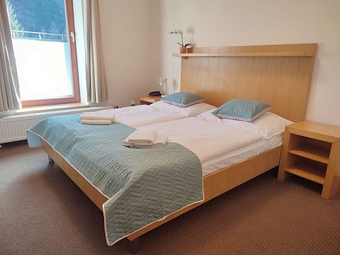 HOTEL SKALNÍ MLÝN (3)