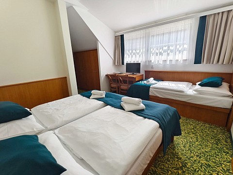 HOTEL SKALNÍ MLÝN (5)