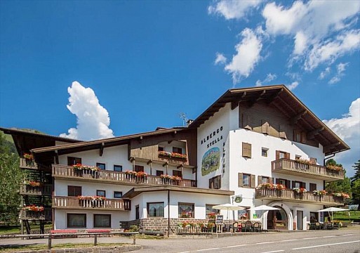 Hotel STELLA ALPINA/SANCELSO