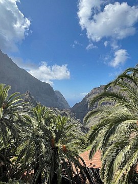 Tenerife: Za velkolepým hadincem teidským