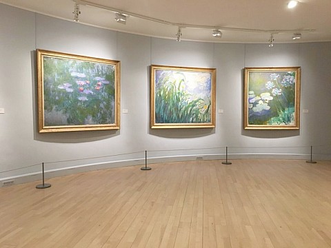 Impresionistická Paříž + Monetovy zahrady (3)
