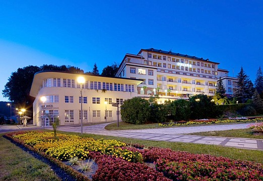 Lázeňský hotel Palace (3)